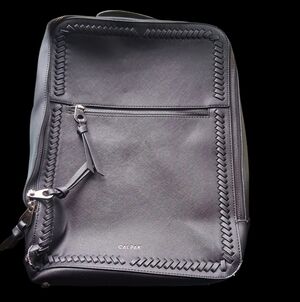 Calpak Black Woven-Trim Unisex Backpack